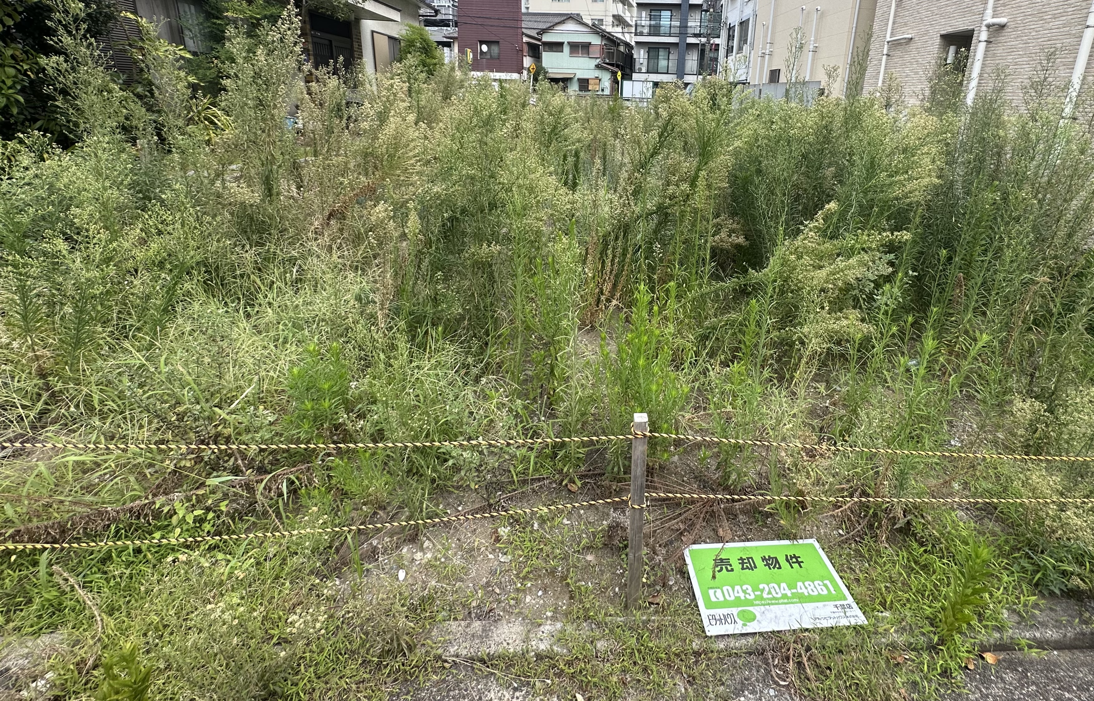 Before の画像